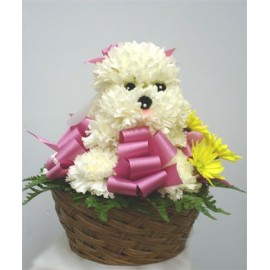 Cos cu un catelus din flori