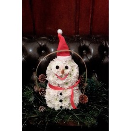 Om de zapada din crizanteme