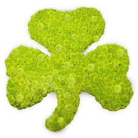 Aranjament  in forma de trifoi