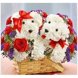 Aranjament  floral doi catelusi din flori