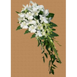 Buchet  curgator orhidee
