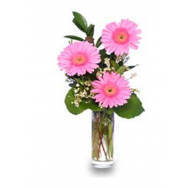 Buchet 3 gerbera