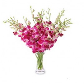 Buchet din orhidee