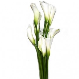 Buchet cale