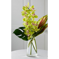 Buchet orhidee si plante