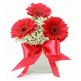 Buchet 3 gerbera
