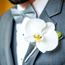 Cocarde naturale orhidee alba