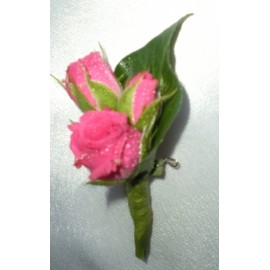 Cocarde naturale simpla minirosa