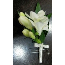 Cocarde naturale  frezii