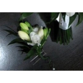 Cocarde din frezii naturale