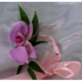 Cocarde din phaleonopsis