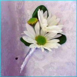 Cocarde crizantema simpla