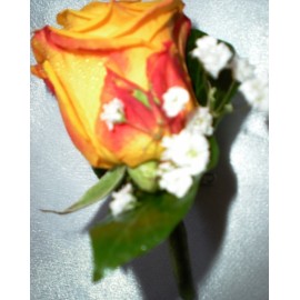 Cocarde flori naturale