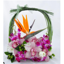 Cos cu orhidee si strelitia