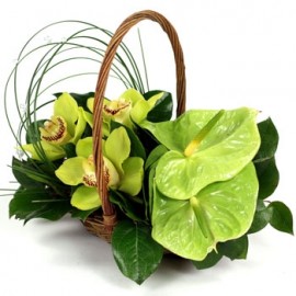 Cos cu orhidee si anthurium