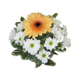 Aranjament masa 1 gerbera si crizantema