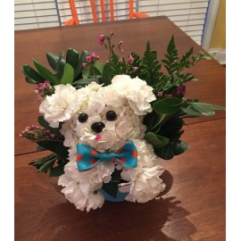 Catel flori naturale