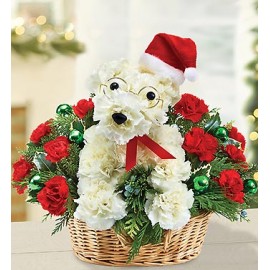 Cos cu garoafe si catel